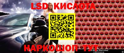 стафф Кулебаки