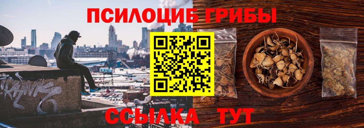 Псилоцибиновые грибы Psilocybe  Галлюциногенные грибы Magic Shrooms  Улан-Удэ  Вход с VPN 